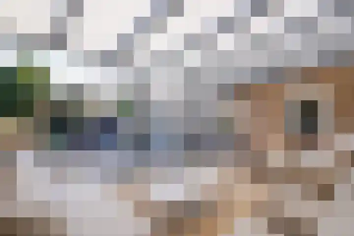 Spaubeeklaan 47 Geleen thumbnail 36