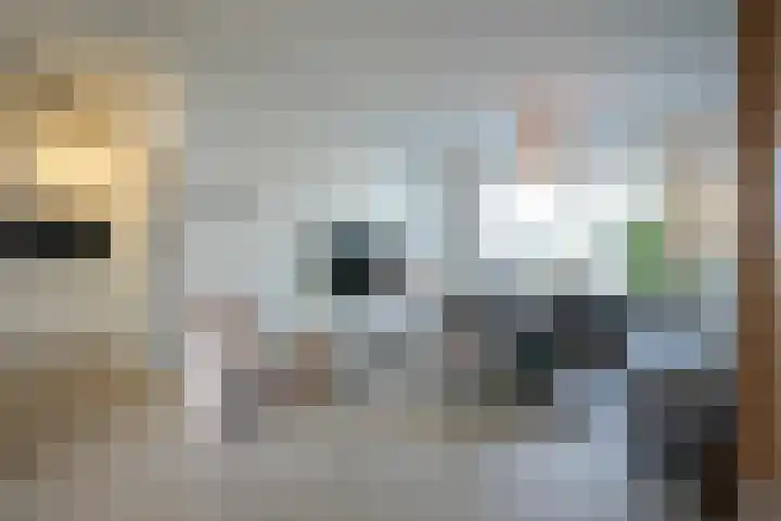 Spaubeeklaan 47 Geleen thumbnail 6