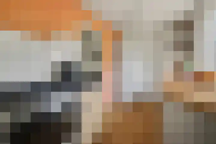 Spechtbos 8 Helvoirt thumbnail 10
