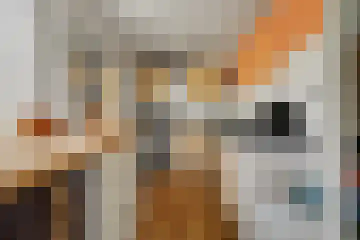 Spechtbos 8 Helvoirt thumbnail 13