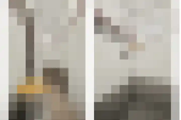 Spechtbos 8 Helvoirt thumbnail 19