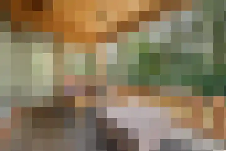 Spechtbos 8 Helvoirt thumbnail 21