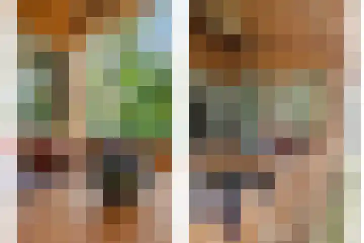 Spechtbos 8 Helvoirt thumbnail 23