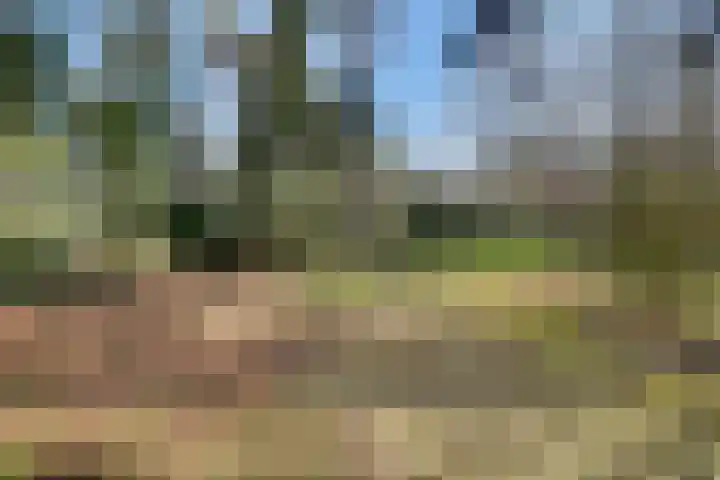 Spechtbos 8 Helvoirt thumbnail 27
