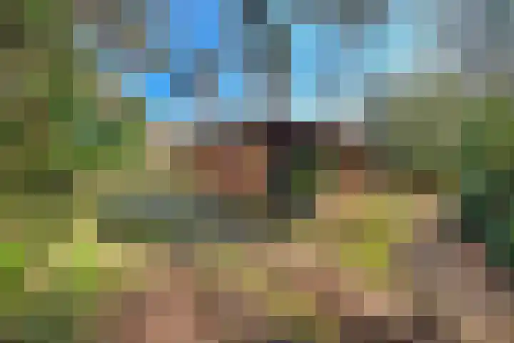 Spechtbos 8 Helvoirt thumbnail 29