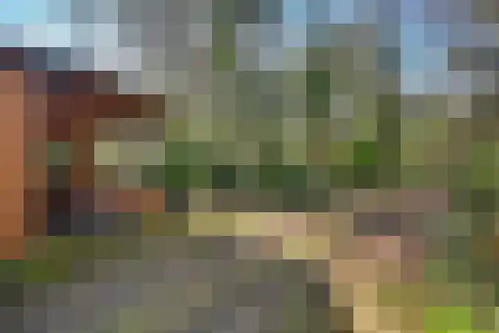 Spechtbos 8 Helvoirt thumbnail 30