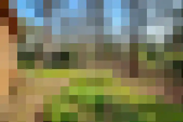 Spechtbos 8 Helvoirt thumbnail 31