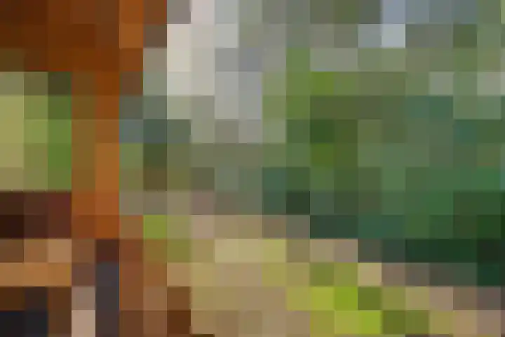 Spechtbos 8 Helvoirt thumbnail 32