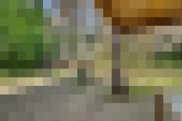 Spechtbos 8 Helvoirt thumbnail 33