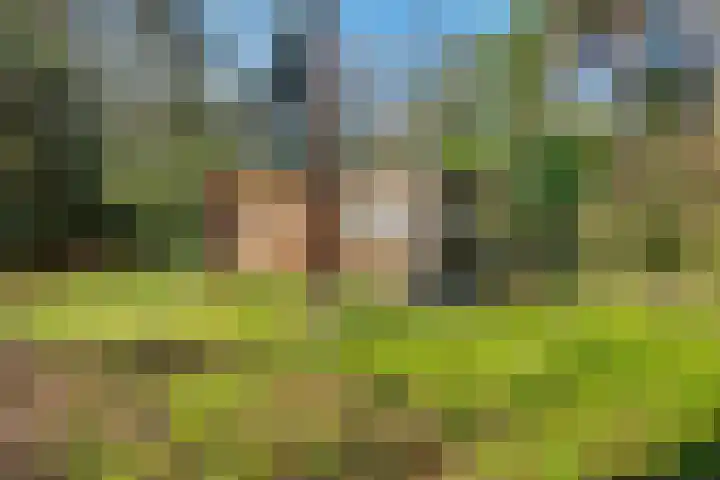 Spechtbos 8 Helvoirt thumbnail 35
