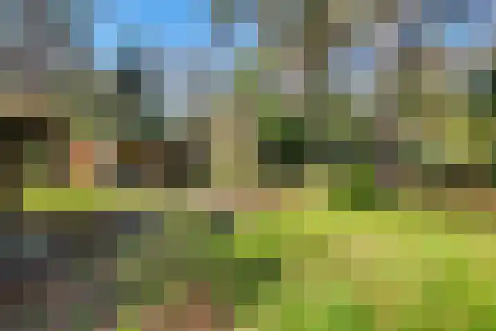 Spechtbos 8 Helvoirt thumbnail 38