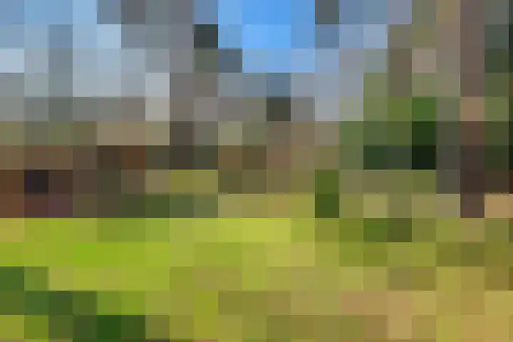 Spechtbos 8 Helvoirt thumbnail 39