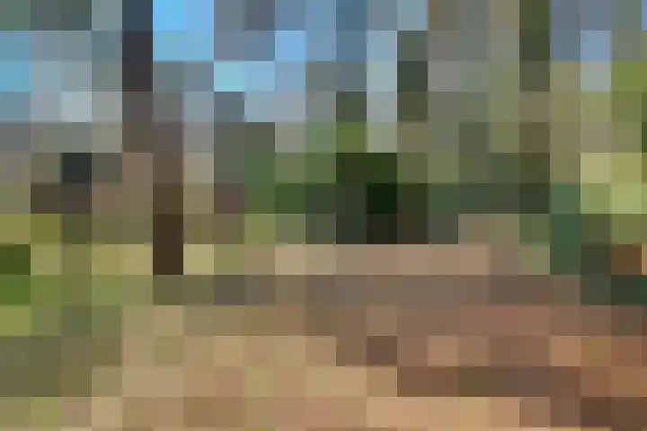 Spechtbos 8 Helvoirt thumbnail 41