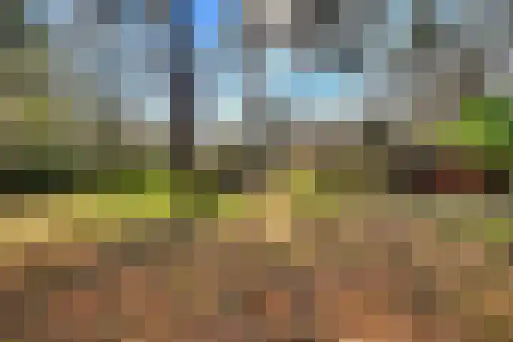 Spechtbos 8 Helvoirt thumbnail 42