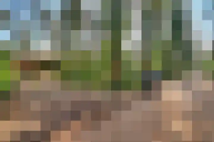 Spechtbos 8 Helvoirt thumbnail 44