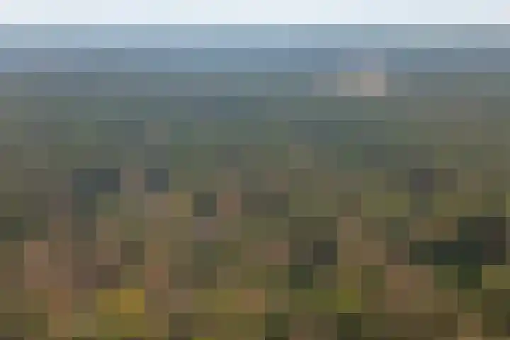 Spechtbos 8 Helvoirt thumbnail 46