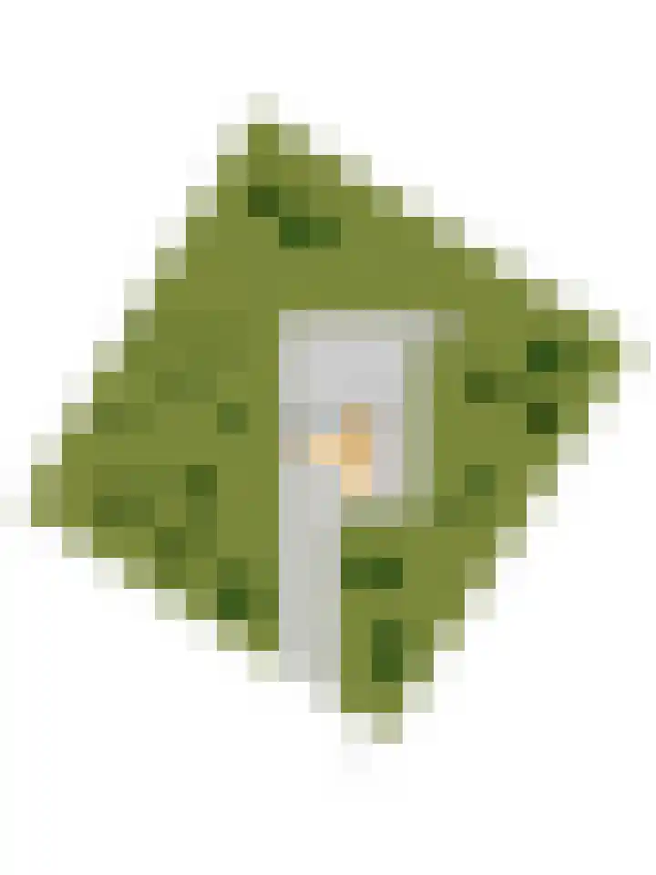 Spechtbos 8 Helvoirt thumbnail 49