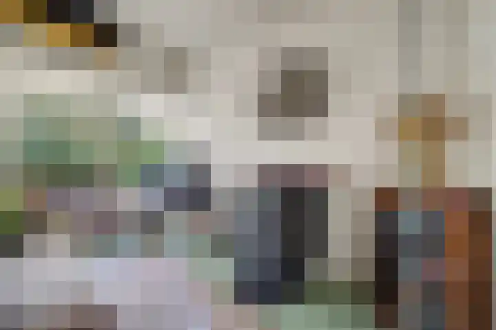 Spechtbos 8 Helvoirt thumbnail 7