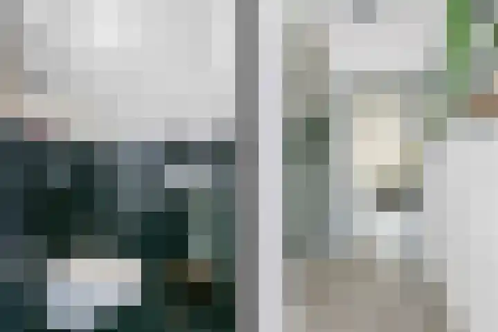 Spechtenkamp 314 Maarssen thumbnail 13
