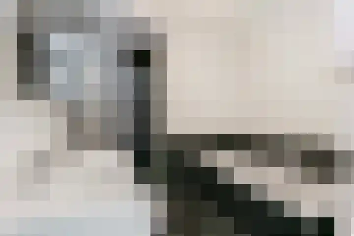 Spechtenkamp 314 Maarssen thumbnail 19