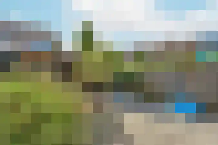 Spechtenkamp 314 Maarssen thumbnail 24