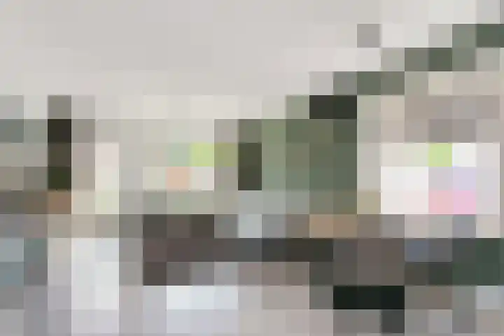 Spechtenkamp 314 Maarssen thumbnail 5