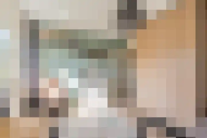 Spechtlaan 16 Almere thumbnail 31