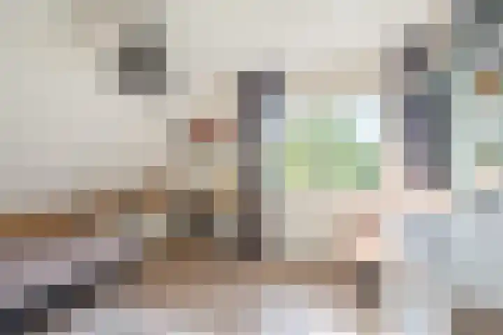 Spechtlaan 16 Almere thumbnail 32