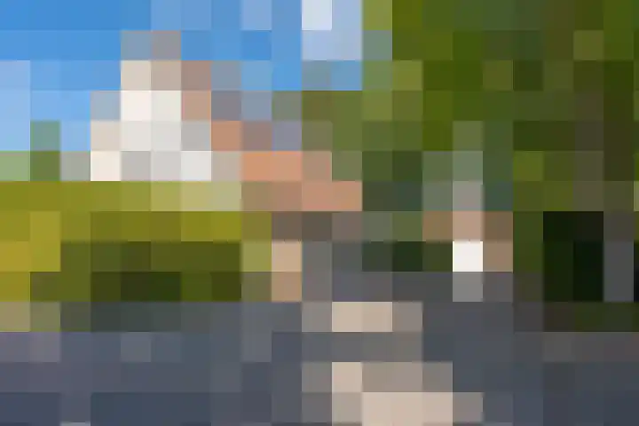Spechtlaan 16 Almere thumbnail 4