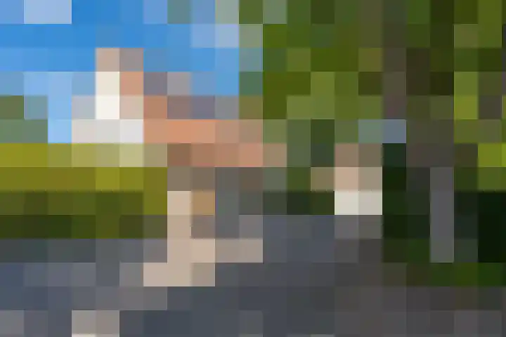 Spechtlaan 16 Almere thumbnail 47