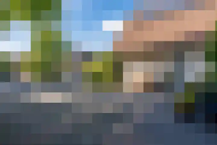 Spechtlaan 16 Almere thumbnail 49