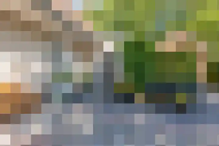 Spechtlaan 16 Almere thumbnail 5