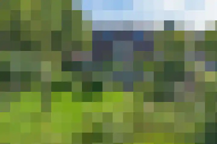 Spechtlaan 16 Almere thumbnail 54