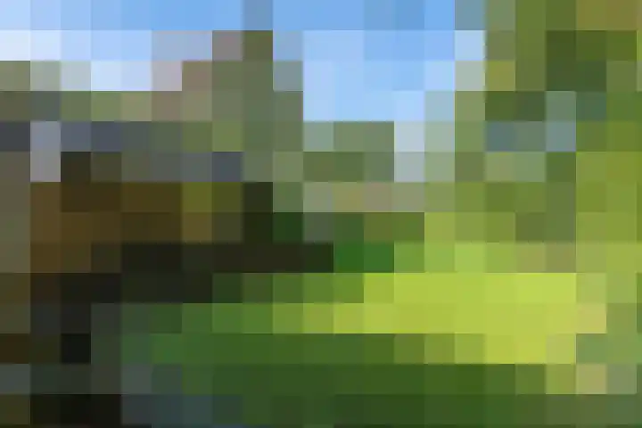 Spechtlaan 16 Almere thumbnail 56