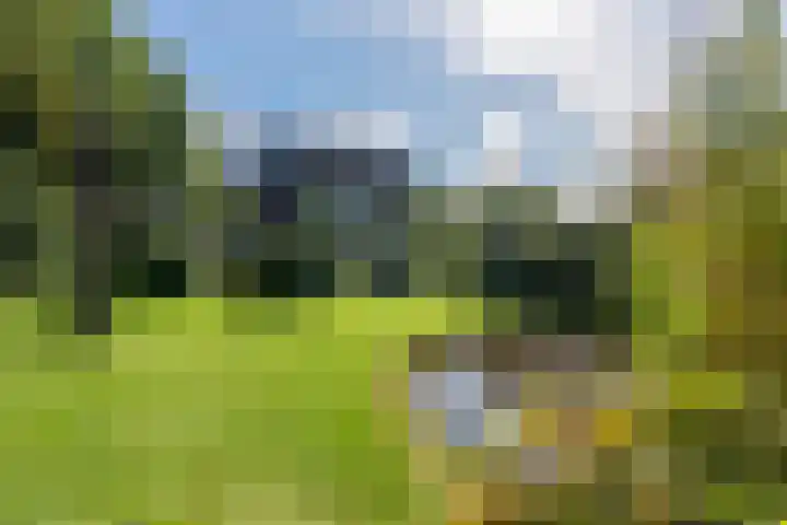 Spechtlaan 16 Almere thumbnail 57