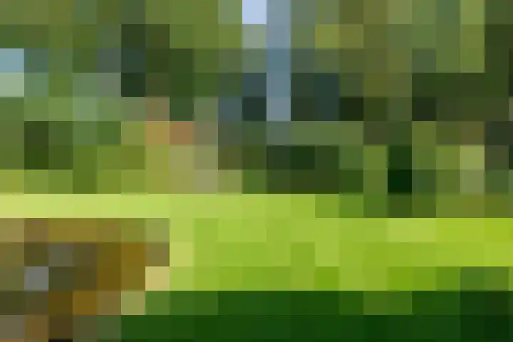 Spechtlaan 16 Almere thumbnail 58