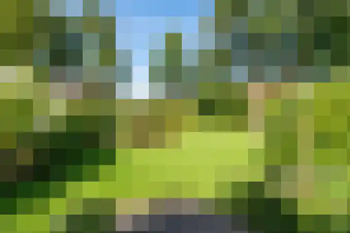 Spechtlaan 16 Almere thumbnail 59
