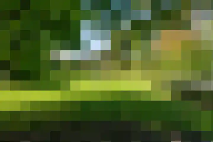Spechtlaan 16 Almere thumbnail 60