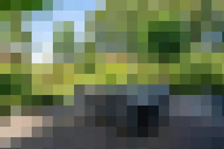 Spechtlaan 16 Almere thumbnail 62