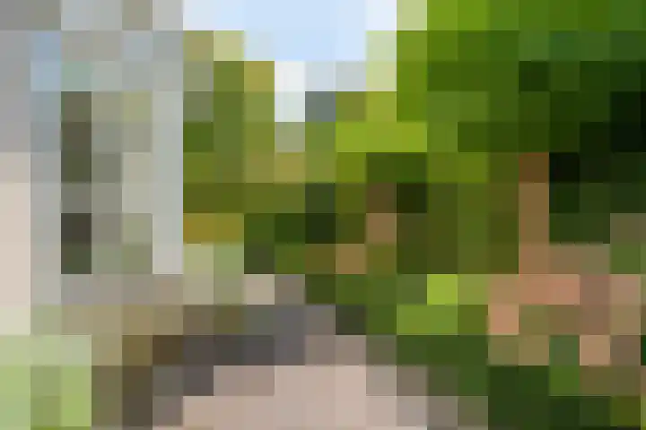 Spechtlaan 16 Almere thumbnail 64