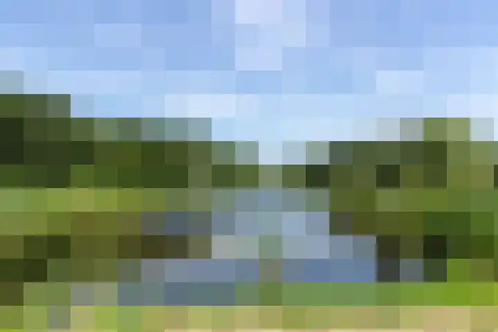 Spechtlaan 16 Almere thumbnail 65