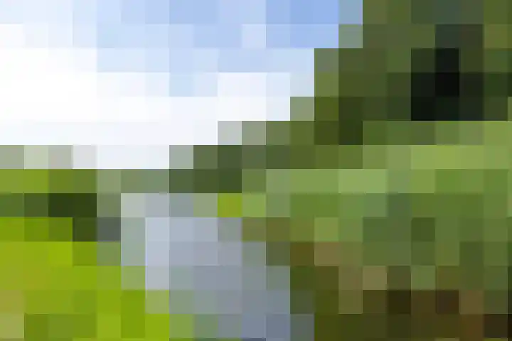Spechtlaan 16 Almere thumbnail 66
