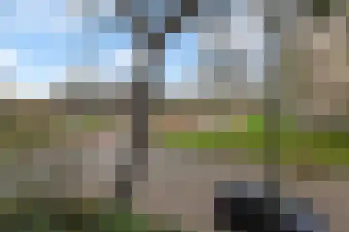 Spechtlaan 2 Leidschendam thumbnail 25