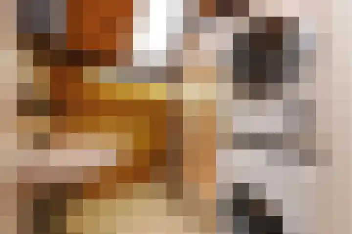 Spechtlaan 2 Leidschendam thumbnail 30