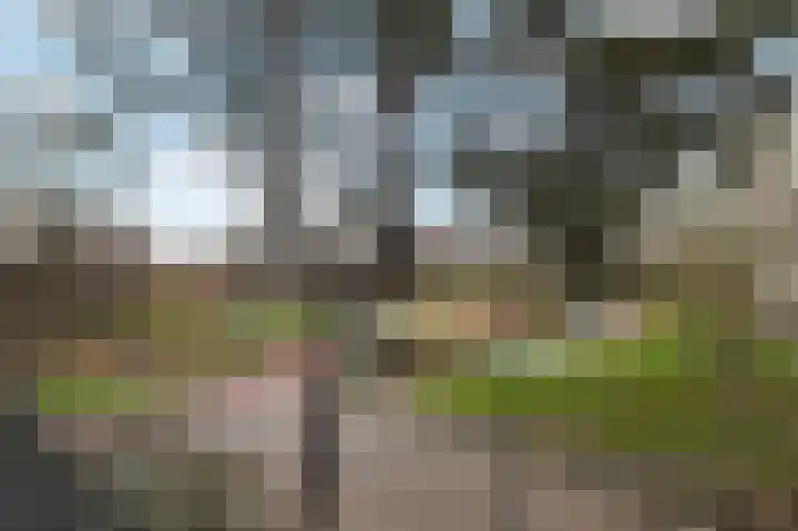 Spechtlaan 2 Leidschendam thumbnail 38