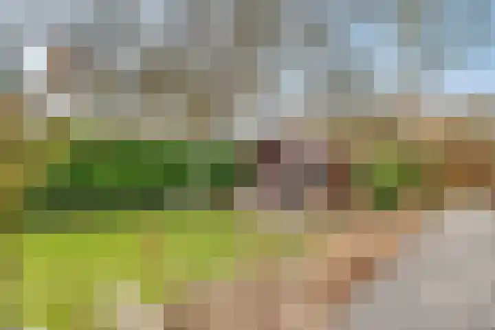 Spechtlaan 4 Almere thumbnail 41