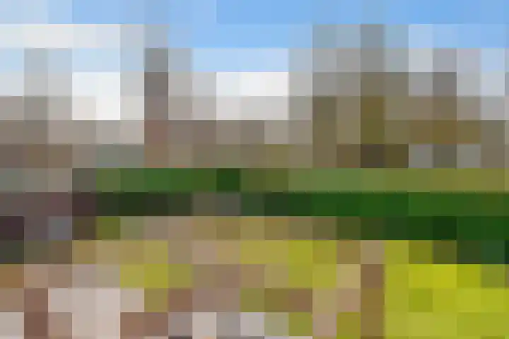 Spechtlaan 4 Almere thumbnail 47