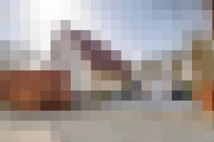 Spechtlaan 4 Almere thumbnail 63