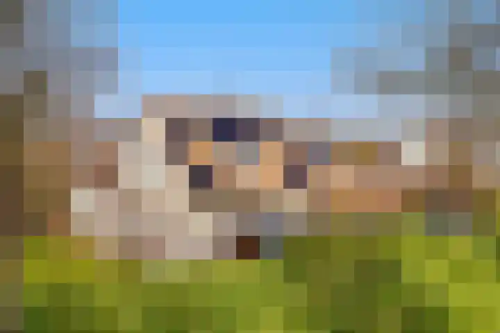 Spechtlaan 4 Almere thumbnail 67