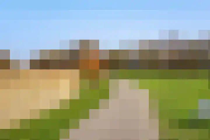 Spechtlaan 4 Almere thumbnail 68